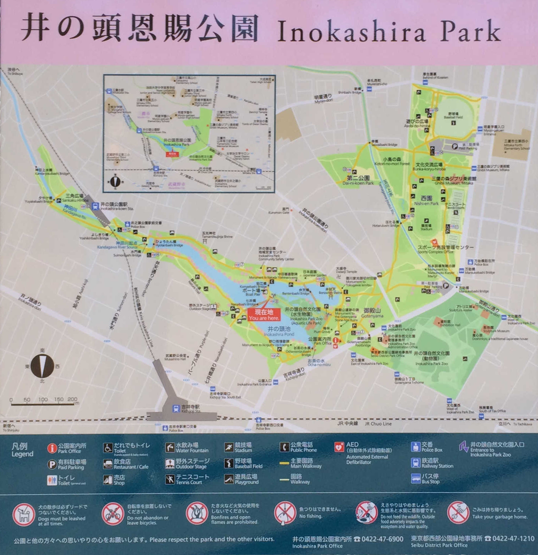 井の頭恩賜公園　Inokashira Park